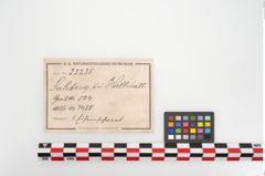 Etikett zu Eisenpilzknaufschwert (NHMW-PRAE-025235)